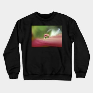 Sugar and Spice Crewneck Sweatshirt